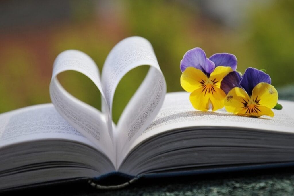 livro aberto com paginas em forma de coração