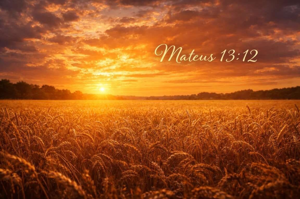 Um campo de tripo ao por do sol - O Segredo da Multiplicação da Graça em Mateus 13:12